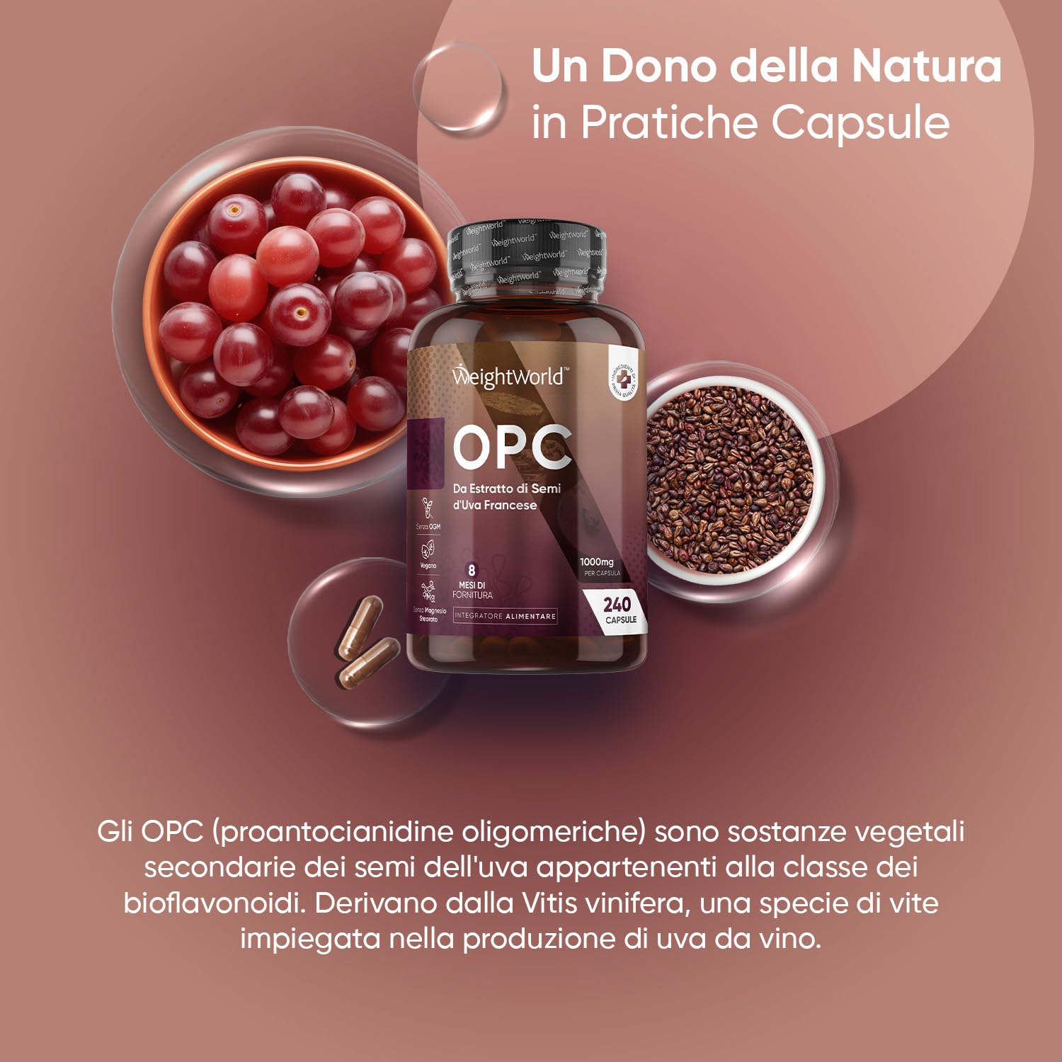 OPC Integratore al 95%, in 240 Capsule Vegane, Solo 1 al Giorno (8 Mesi di Fornitura), Estratto Semi Uva Francese (Grape Seed Extract) 4:1, 1000mg per Capsula, Privo di Magnesio Stearato e Allergeni