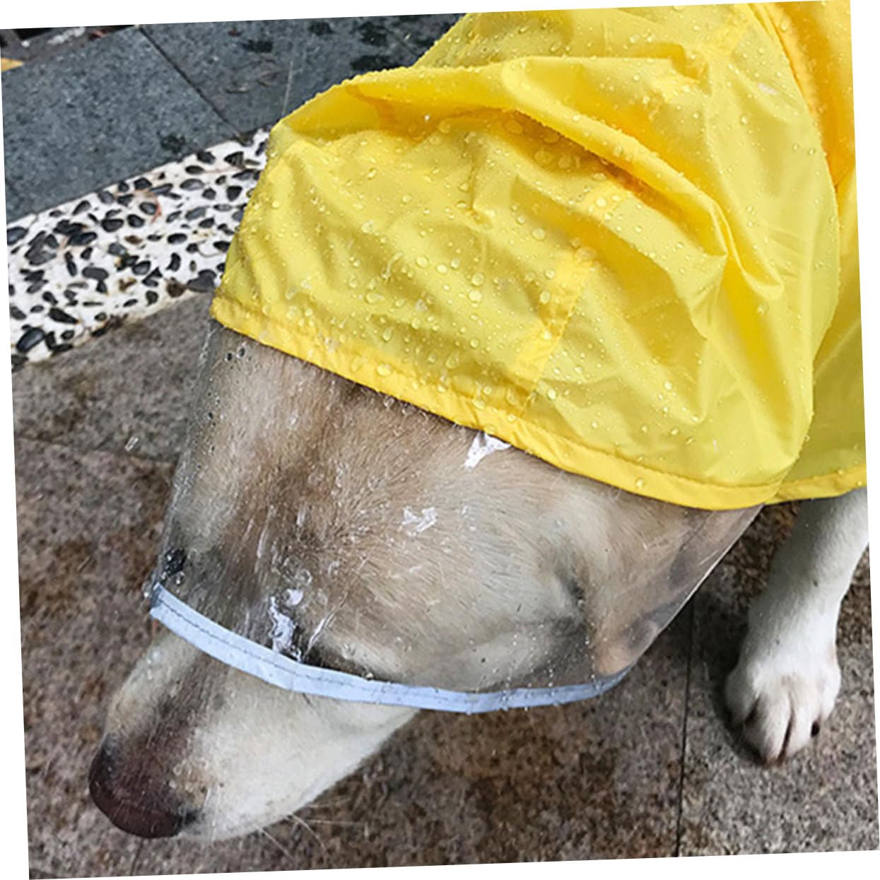 Manteaux de Pluie imperméables pour Chien, imperméable pour Chien, 2 pièces, Gilet réfléchissant à Capuche pour Chien, Gilets réfléchissants, Manteaux de Pluie