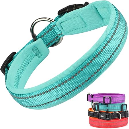 Azuza Paquete De 2 Collares De Perro Acolchados De Neopreno | Envío Gratis