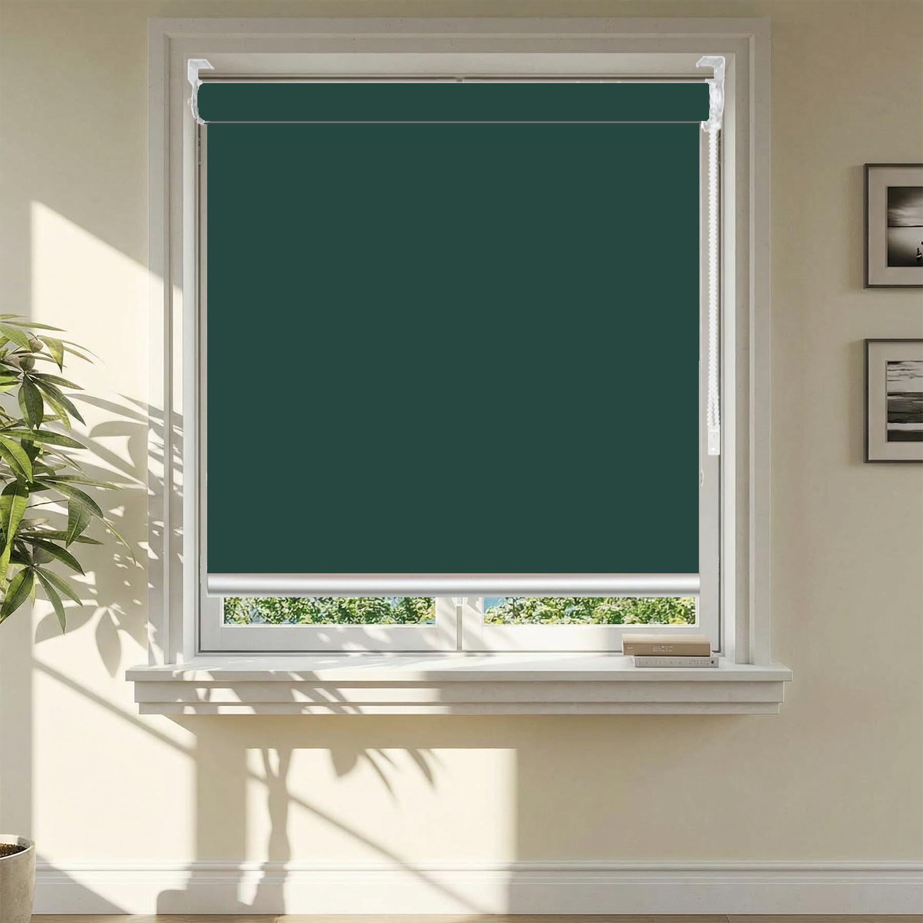 Rolety Zaciemniające Do Okien 50 x 265 cm Izolowana Ochrona UV Roleta Zaciemniająca Z Prostą Krawędzią W Różnych Kolorach I Rozmiarach, Ciemnozielony