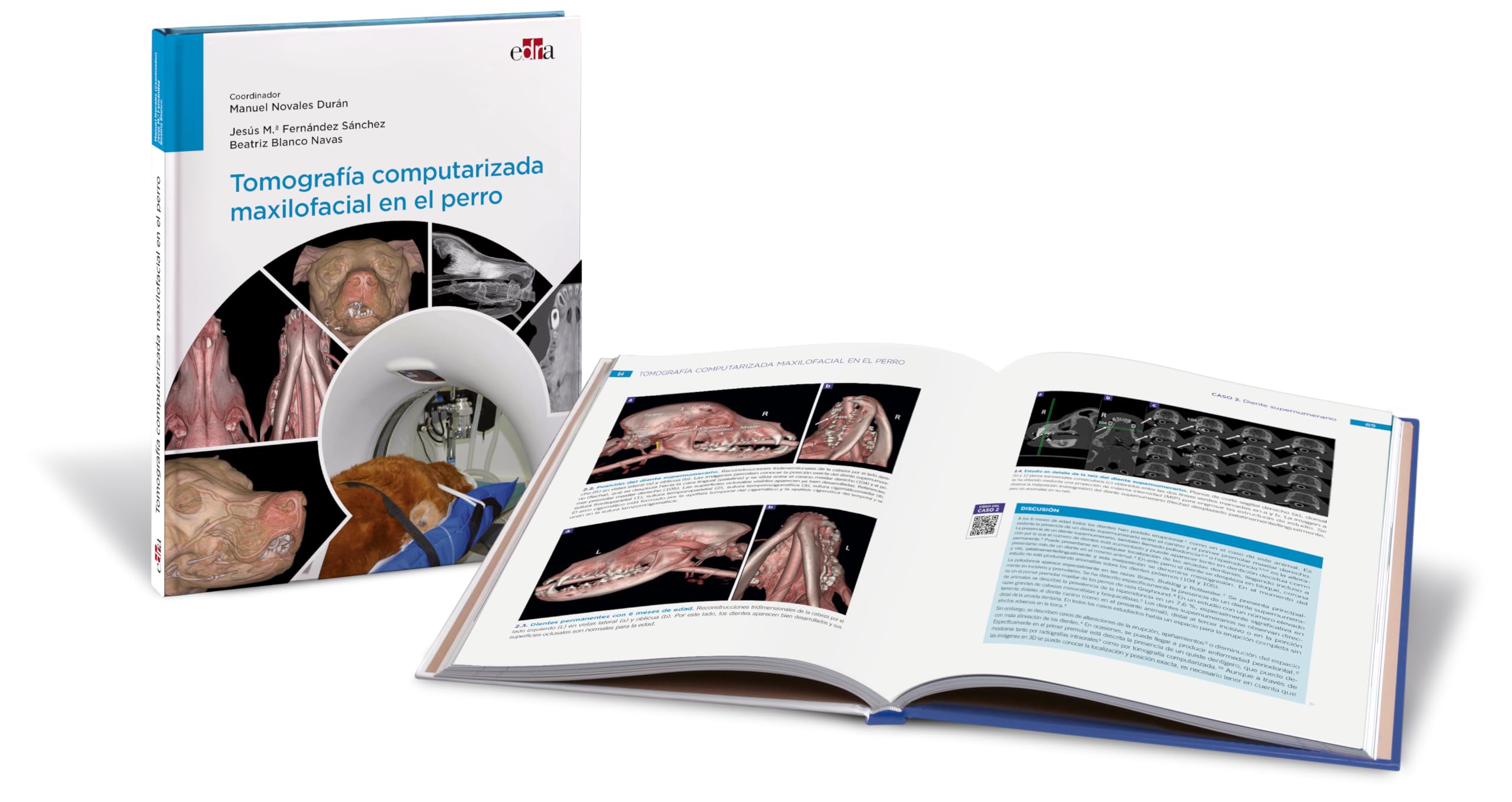 Tomografía computarizada maxilofacial en el perro