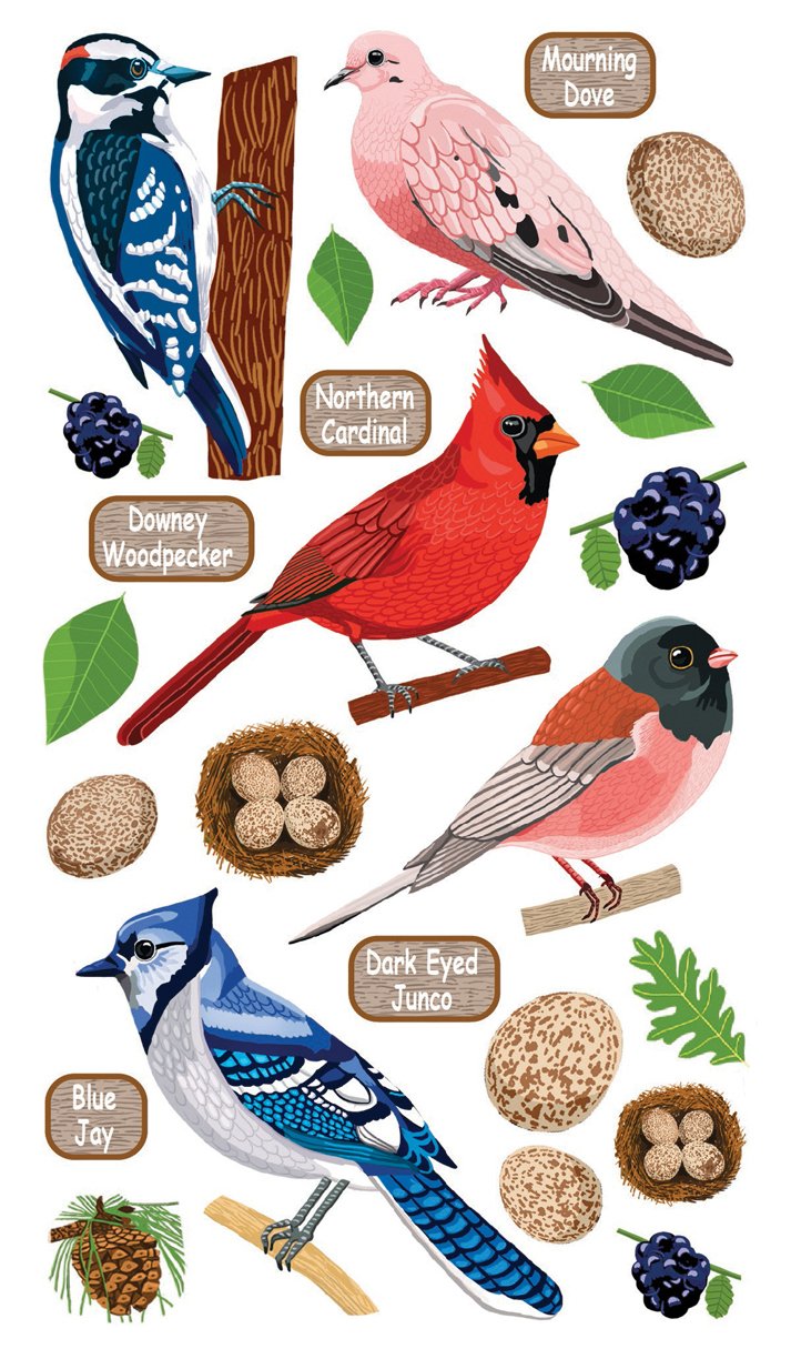 Sticko Stickers - Top U.S. Birds 2 (Pack of 6)