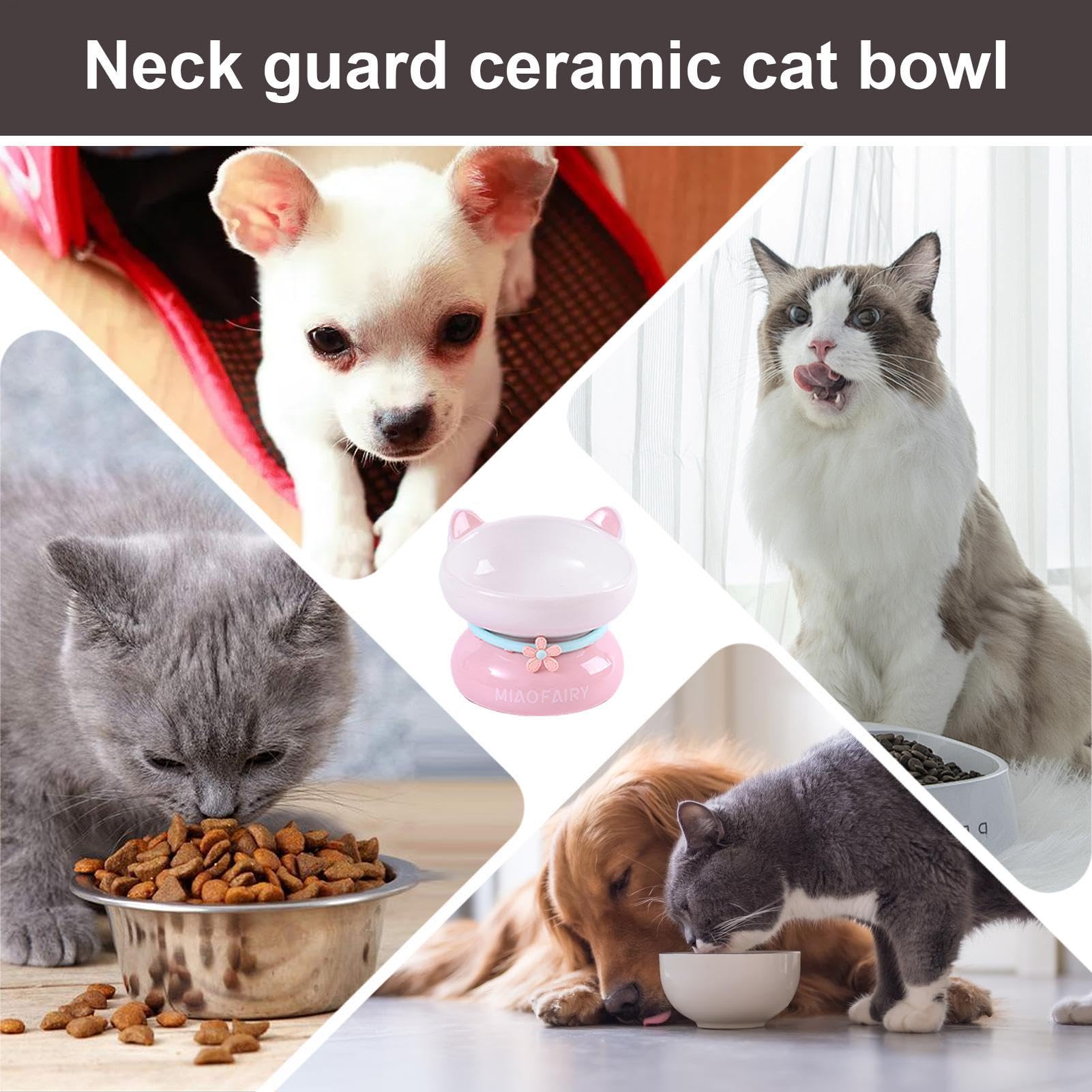 Gamelle surélevée en céramique pour chat - Anti-vomissements
