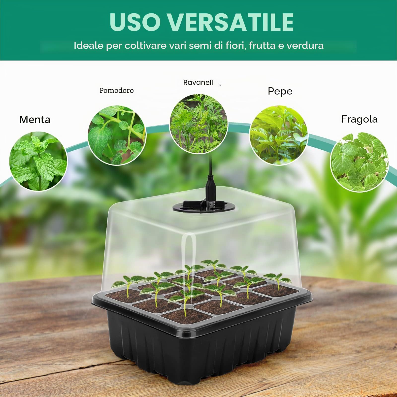 RIOGOO Confezione da 6 vassoi per semi con luce di coltivazione, kit di avviamento per semi temporizzati con luminositÃ e umiditÃ regolabili, kit di germinazione in serra (12x6,72 celle)