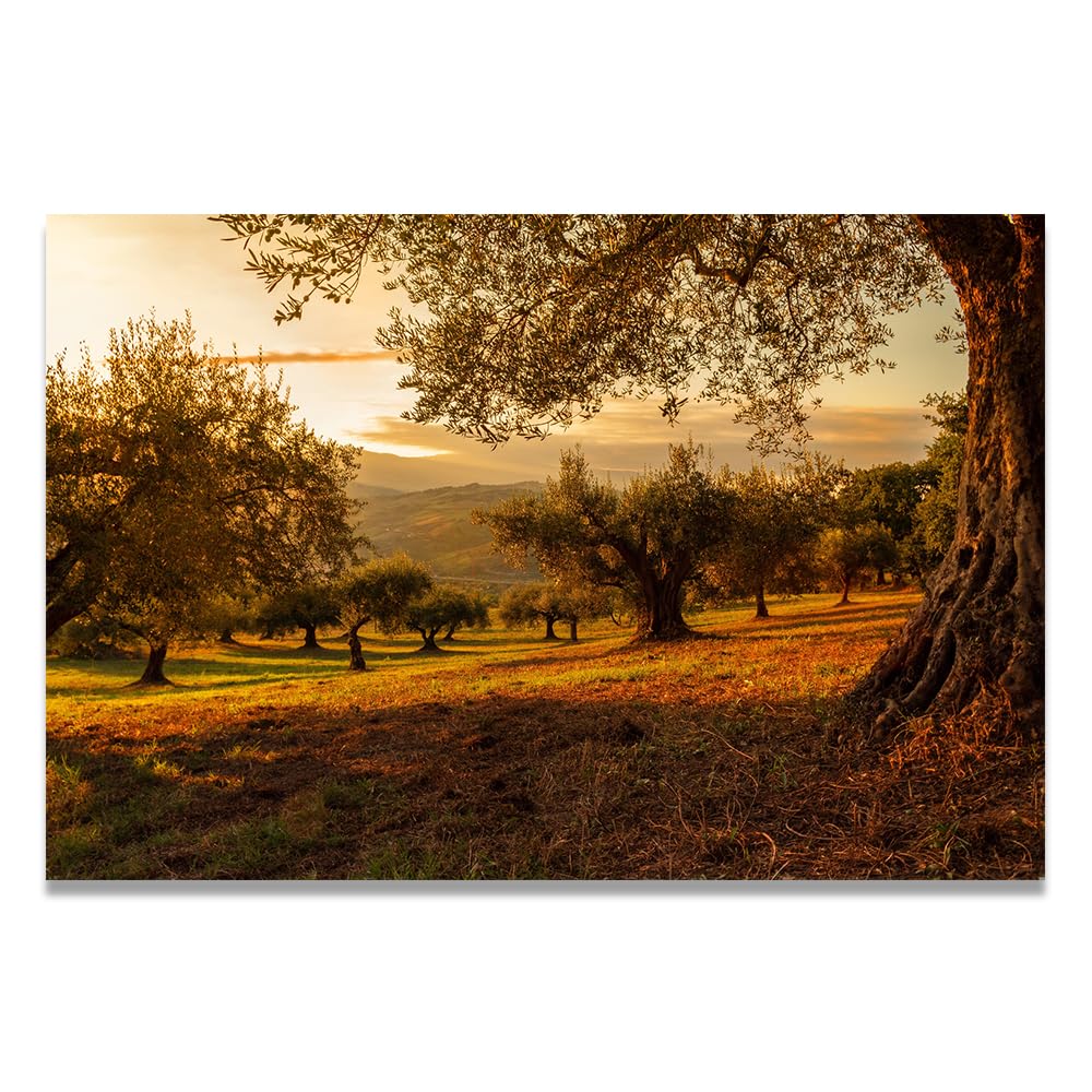 VHdfgTY Growing In Their Own WaysLarge Mountain Landscape Canvas Wall Art Nature Scenery for Home Decor 30x45cm Unframed