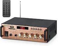 VD-AK198E Blue-tooth Car Home 12v/220v Power Amplifier Blue-toothreceiver Digital Amplifier Two Extension For Karaoke Home Theater