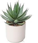 Flocked Fake Plants Realistic Succulents Artificial Plant in Ceramic Pot, Fake Succulents for Home Shelf Modern Bathroom Tabletop Decor