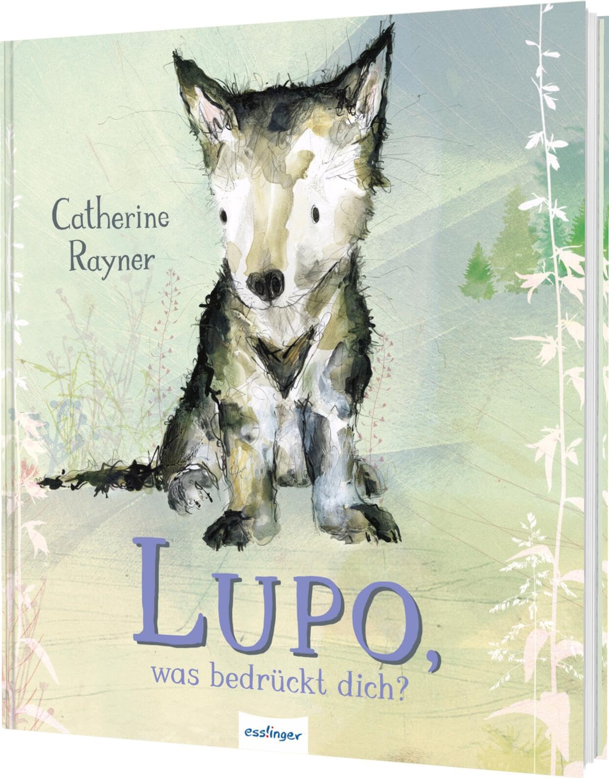 Lupo, was bedrückt dich?: Bilderbuch über Sorgen, Ängste, Mut und Selbstvertrauen