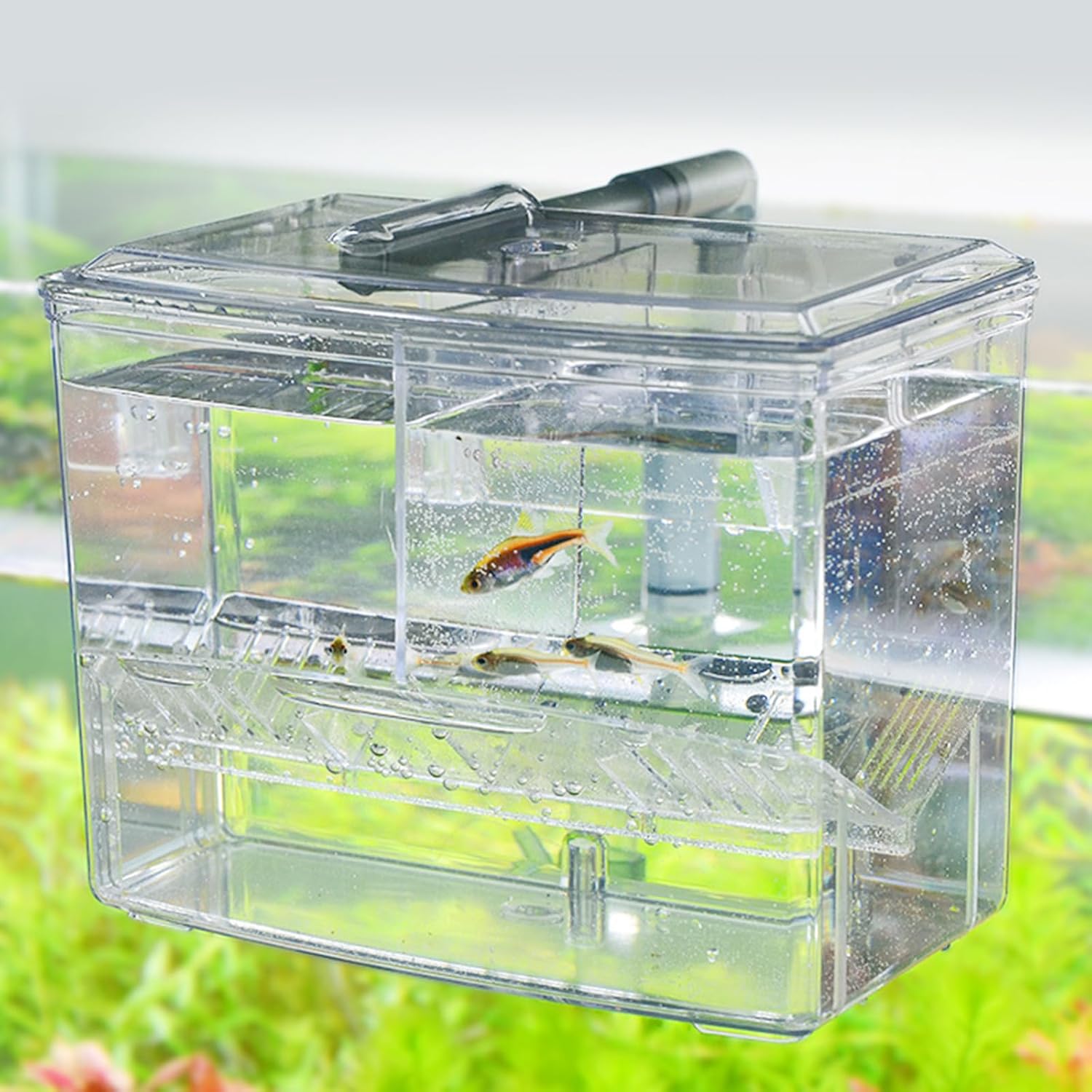 External Aquarium Breeder Box for Fishtank Breeding Incubator Hatchery Spawning Box Separation Tanks Hatchery Container