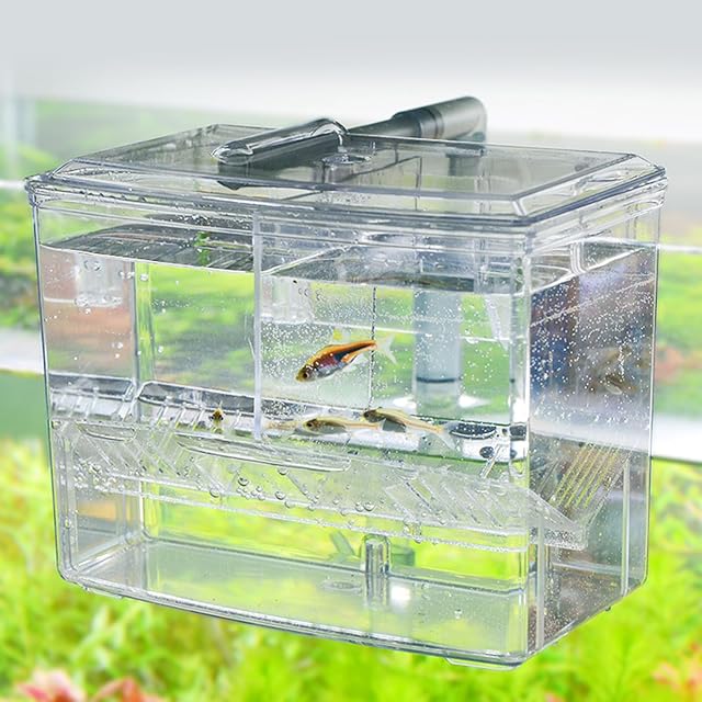 Foto 8 de 8 de Caja externa de cría de peces, incubadora transparente para recién nacidos, aislamiento