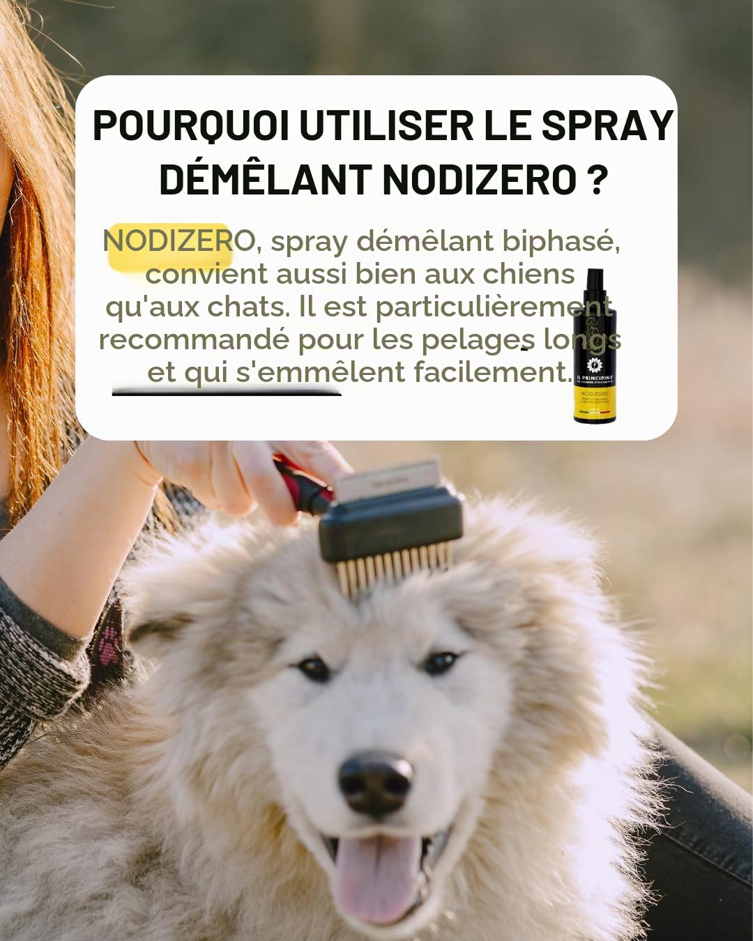 Il Principino - Spray Démêlant chien et chat, idéal pour dissoudre nœuds, demelant chat poils longs, démêlant efficace poils de chien, aide le brossage, illumine,empêche la formation des nœuds 200 ml