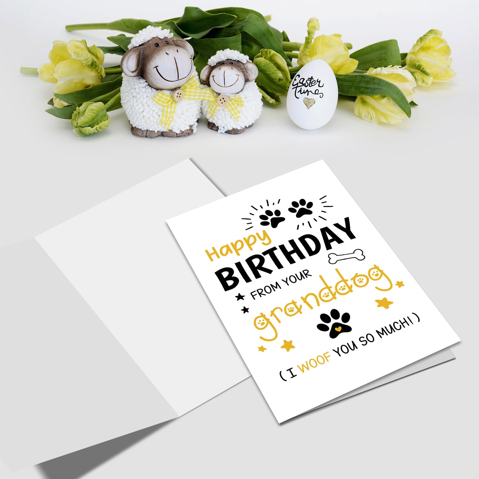 Carte Pop Up Anniversaire Carte D'Anniversaire Teckel, Carte Pop Up