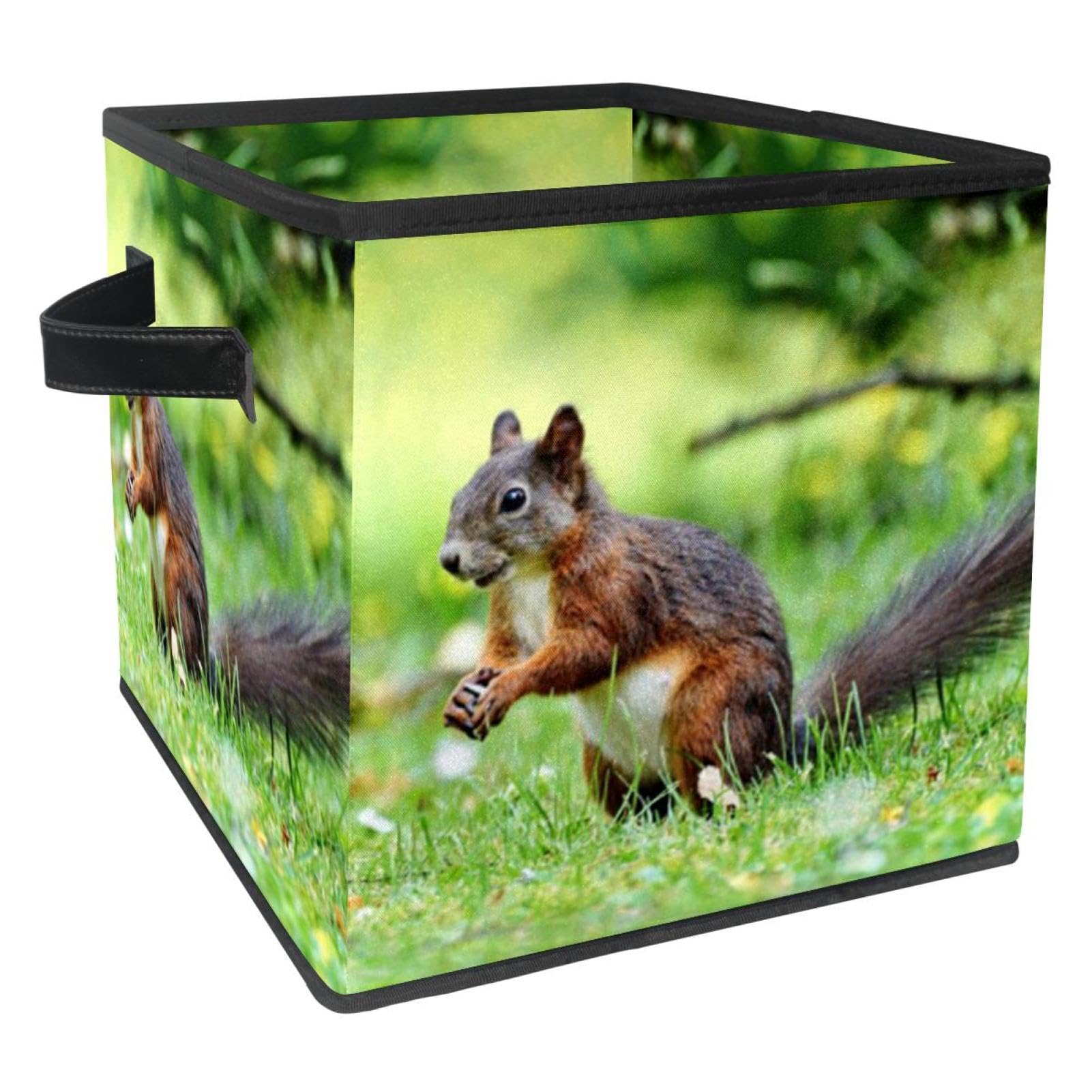 Boîte de rangement pliable cube en tissu écureuil pour chambre et placard