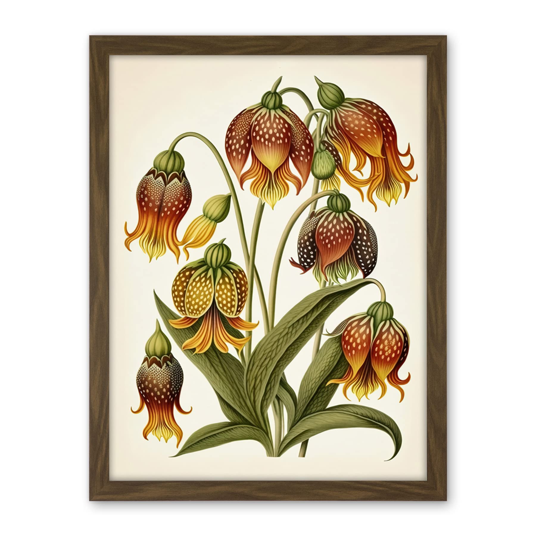 Artery8 Ernst Haeckel Inspired Fritillaria Flower Plant Study Modern Watercolour Painting Illustration Artwork Framed Wall Art Print 18X24 Inch