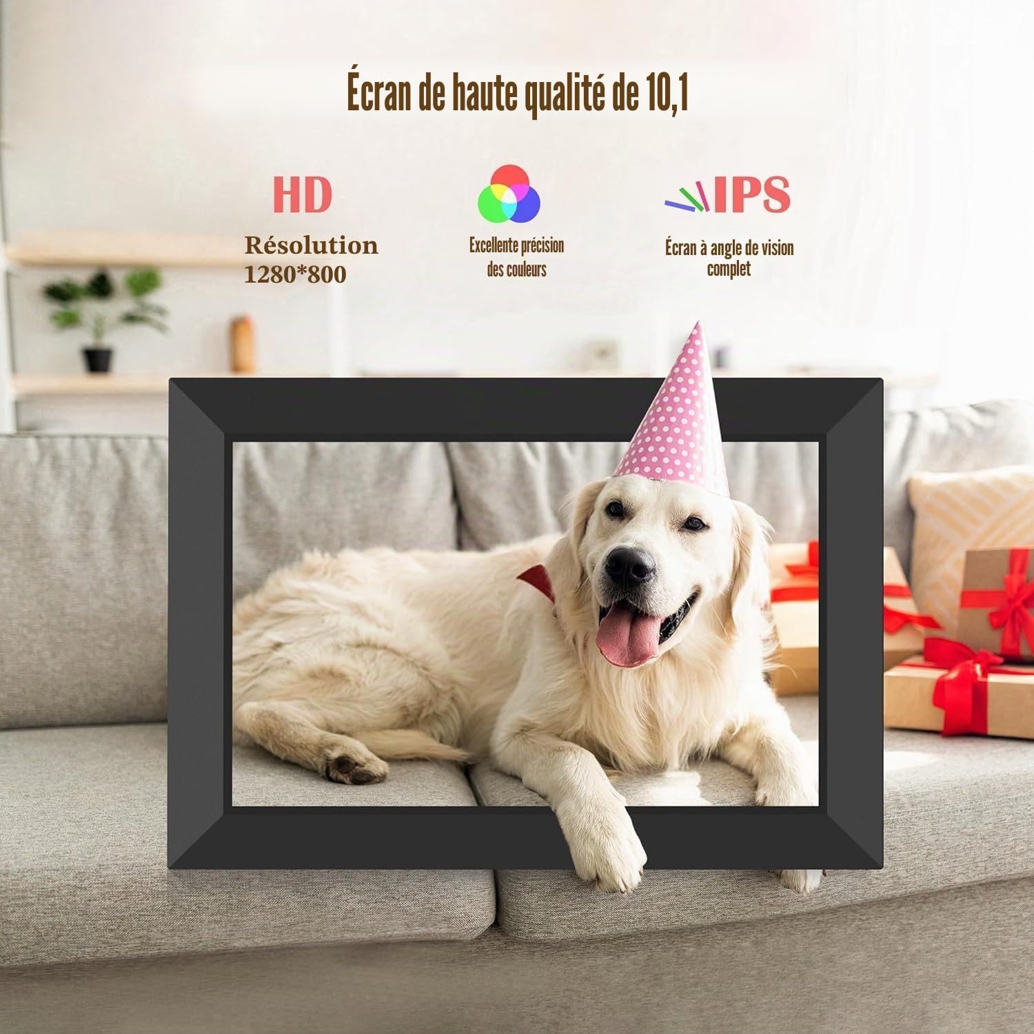Frameo 10.1Pouces Cadre Photo Numérique WiFi, Mémoire Iinterne de 32 Go avec Écran Tactile HD 1280 * 800 IPS,Rotation Automatique,Configuration Facile et Partage de Photos ou de Vidéos Via Frameo