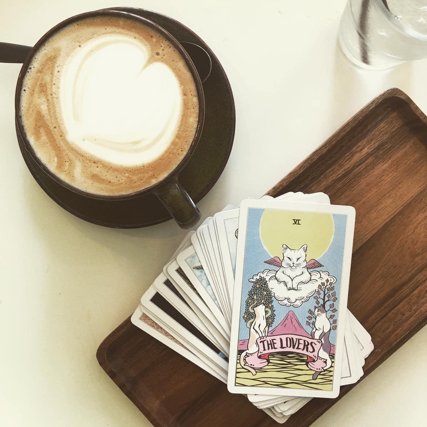 Amazon.com: Atesswy Stray Cat Tarot