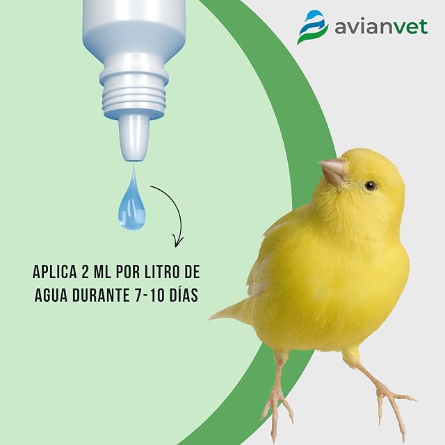 Foto 2 de 4 de AVIANVET Hepatic