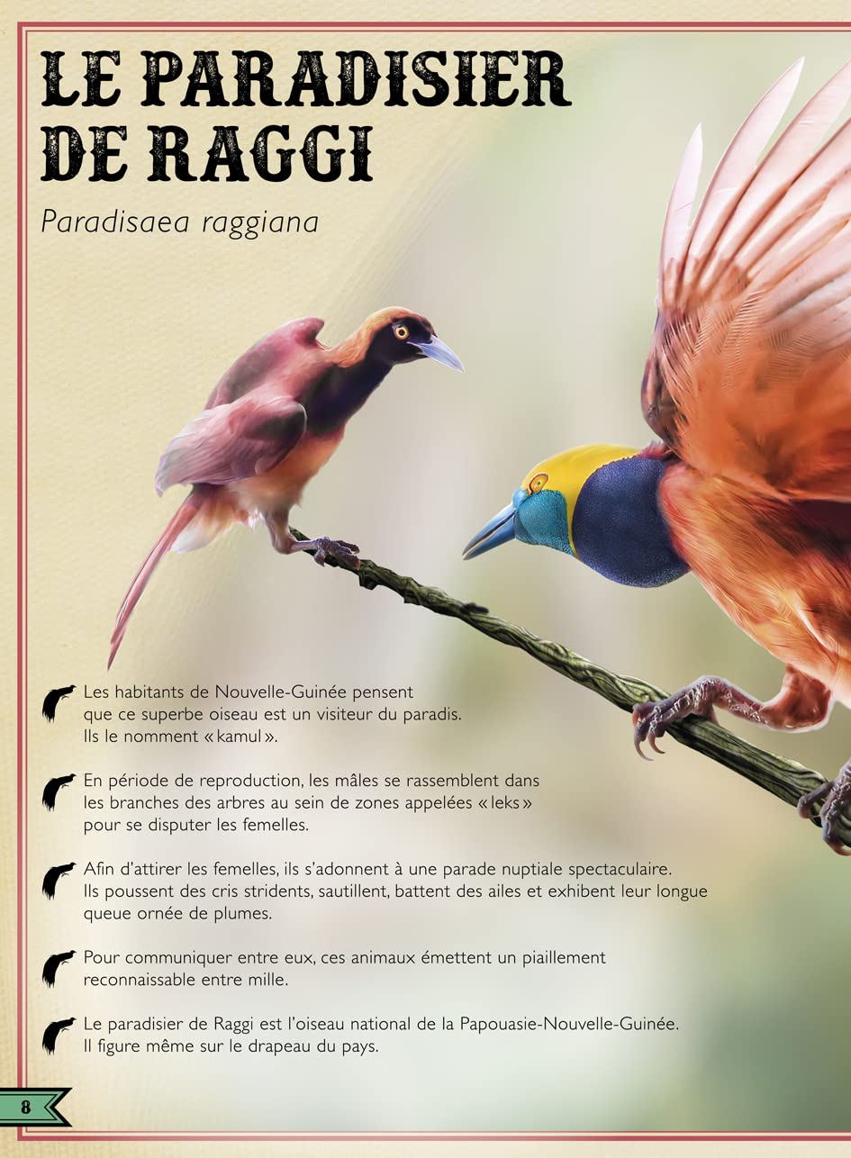 Le Livre extraordinaire des oiseaux spectaculaires