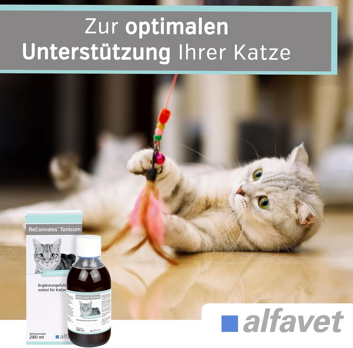 alfavet ReConvales Tonicum Chat, Multipack, complément Alimentaire diététique Stimulant l'appétit pour la Convalescence et en Cas de Poids insuffisant, 12 x 45 ML
