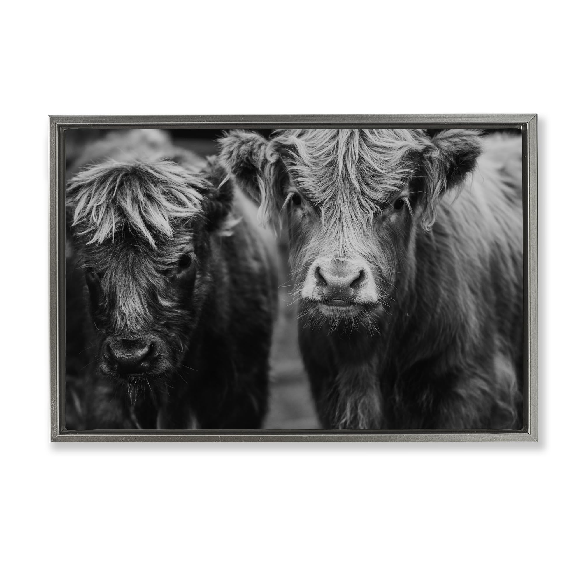 Stupell Industries Cow Faces on Farm Brown Framed Floater Canvas Wall Art, design by Amy Carroll, 21 x 31