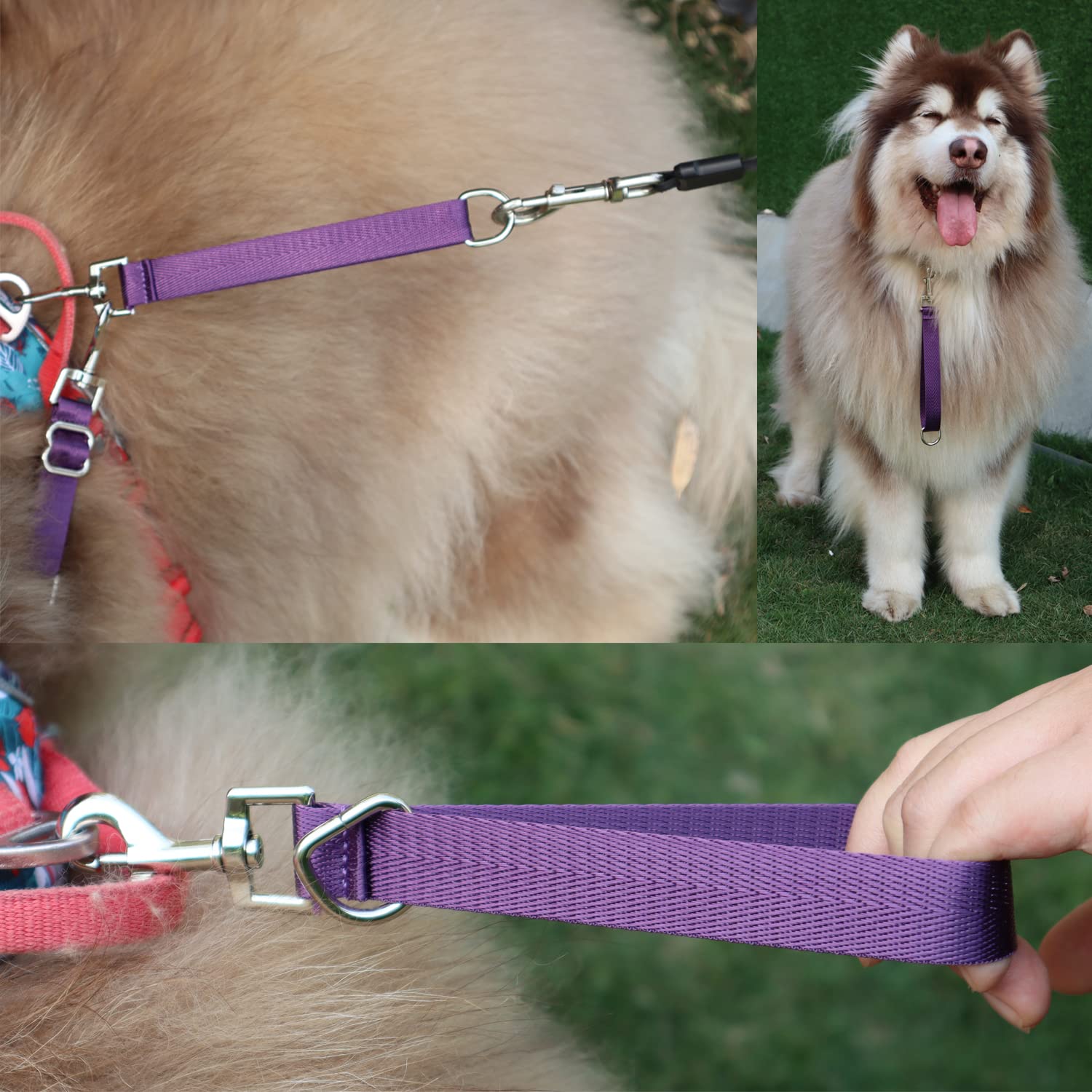 Kurze Hundeleine Wasserdicht – 25,4 Cm, 1,9 Cm Breit, Mit Karabiner Für Training & Unterwegs