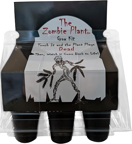Miniatura 2 de Kit de cultivo de plantas zombies con 2 paquetes de semillas adicionales Artículo A. Kit de cultivo de plantas zombies. Artículo B Dos paquetes de