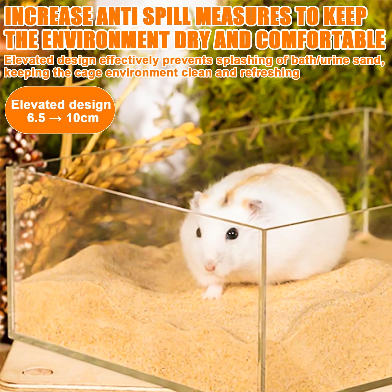 Hamster Salle de bain de sable transparent avec échelle et pelle, carré