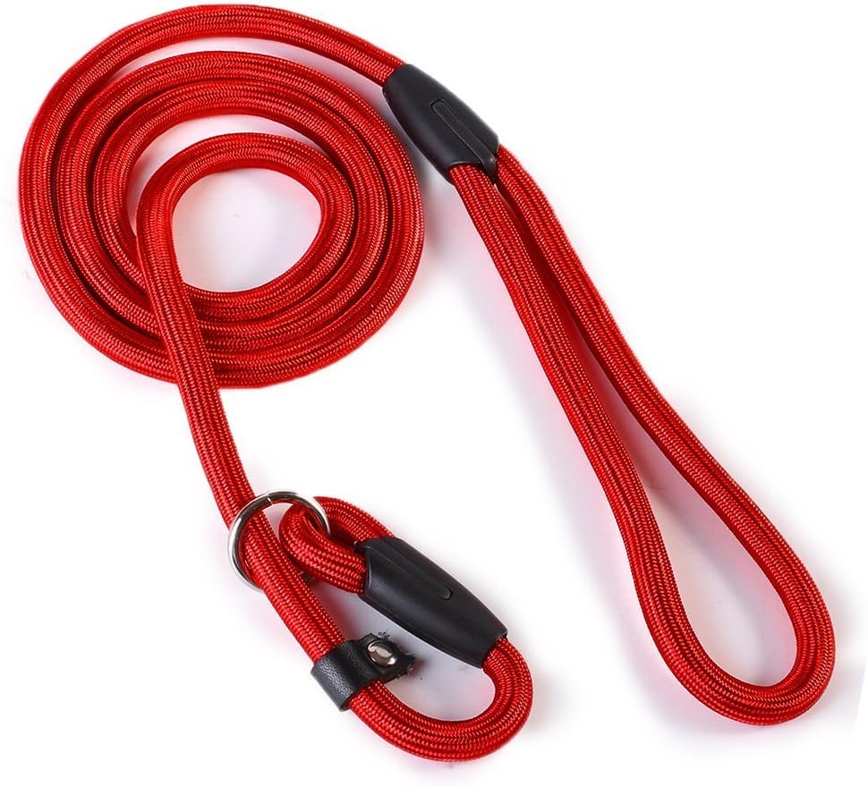 2013newestseller Pet Dog Whisperer Cesar Slip Training Leash Lead Collar (Red) by ArRord
