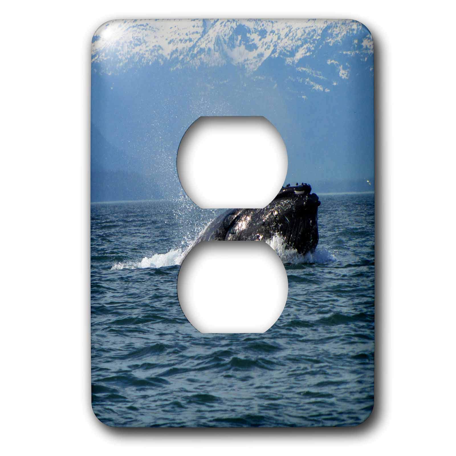 Couvercle de prise photo Alaska baleine pour double prise murale