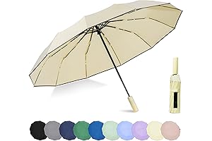 BOADINI Auto Open Windproof Compact Rain Umbrella for Travel