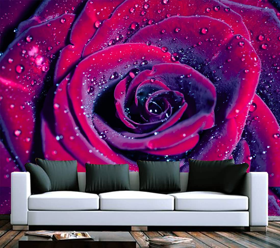 HD PRINT House Self Adhesive Floral Rose Wallpaper Wall Sticker for Home Decor, Living Room, Bedroom, Hall, Kids Room, Play Room (PVC Vinyl, Water Proof502 (96 X 16 INCH) (B09QSK4PKG) Amazon Price History, Amazon Price Tracker