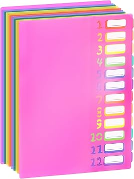 Rainbow Tab Expanding File with Folder 24 Pockets, A4 Letter File Organizer with Water-Resistant Plastic Dividers, Office School Document Organizer Folio Red