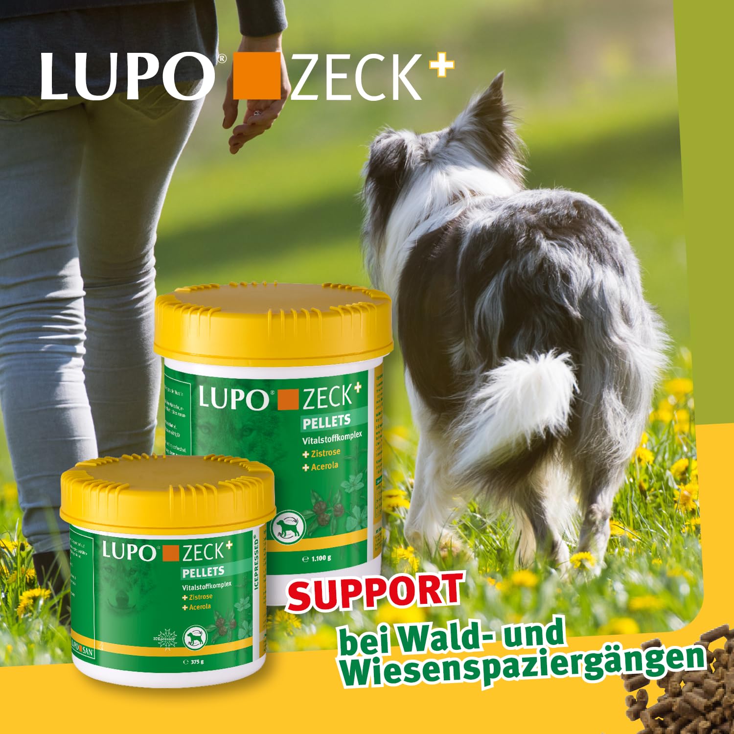 Lupo ZECK+ - Karma uzupełniająca z Cistus incanus & Acerola - 1100g