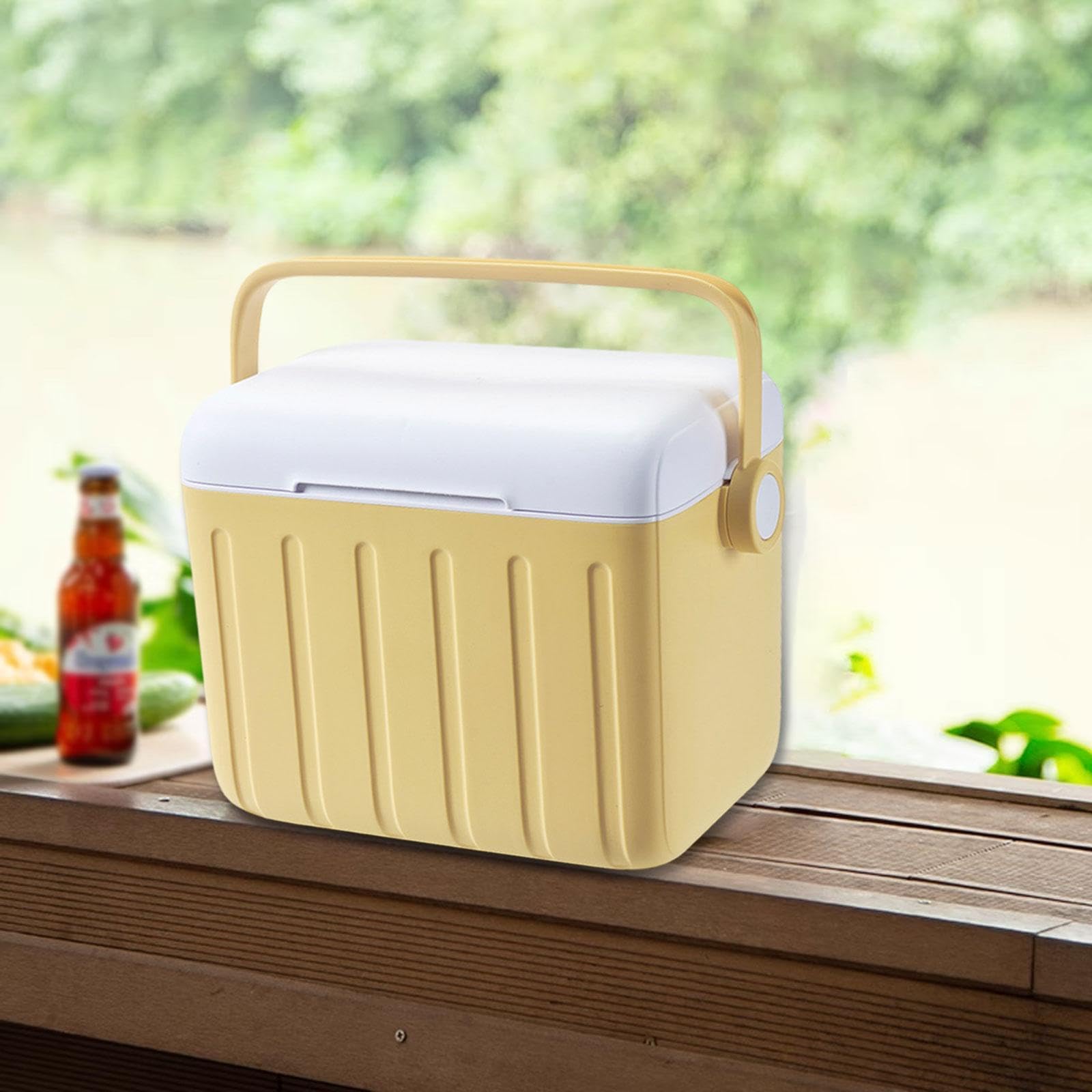 Nevera Portátil de 6 L con Asa, Recipiente Hermético, Ideal para Picnic, Viajes, Playa Y Entrega de Comida.