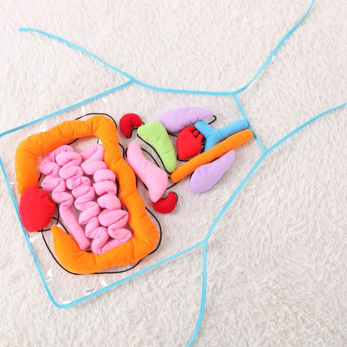 Delantal de Anatomía para Niños 1 Juego de Poliéster, Material Didáctico