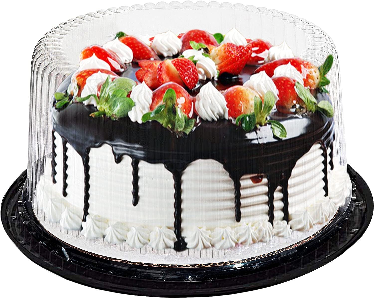 The new upgrade 8" Plastic Disposable Cake Containers