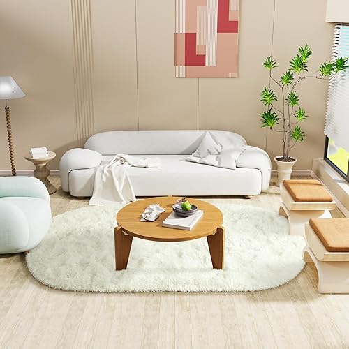 Miniatura 76 de LOCHAS Alfombra esponjosa para dormitorio, 2.6 x 5.3 pies, alfombra lanuda para dormitorio, mesita de noche, alfombra ovalada suave para sala