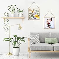 Vista 6 de Treela Marcos de vidrio con flores prensadas de 6 x 6 pulgadas, marco de fotos de doble vidrio para colgar, marcos flotantes cuadrados transparentes