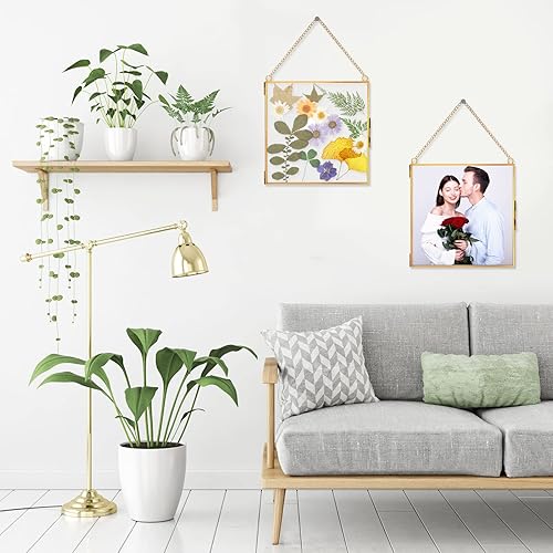 Miniatura 6 de Treela Marcos de vidrio con flores prensadas de 6 x 6 pulgadas, marco de fotos de doble vidrio para colgar, marcos flotantes cuadrados transparentes