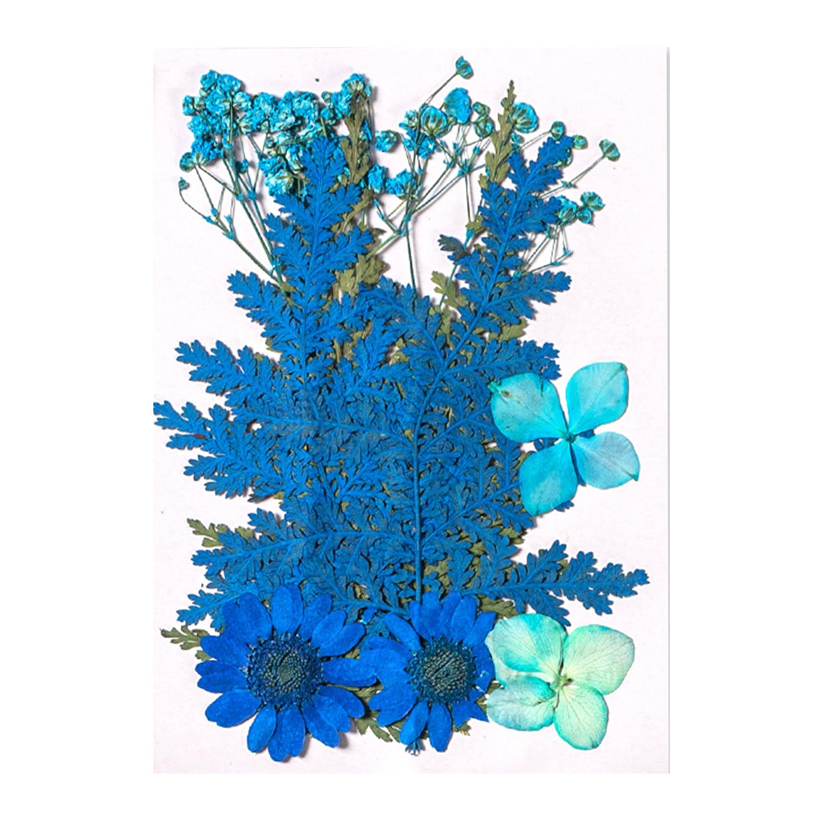 Hshduti Blue 10 Pcs Dried Pressed Flowers For Resin, Real Pressed Flowers Dry Leaves Bulk Natural Herbs Kit For Scrapbooking Diy Art Crafts, Epoxy Resin Jewelry Molds, Candle, Soap Making, Nails Décor
