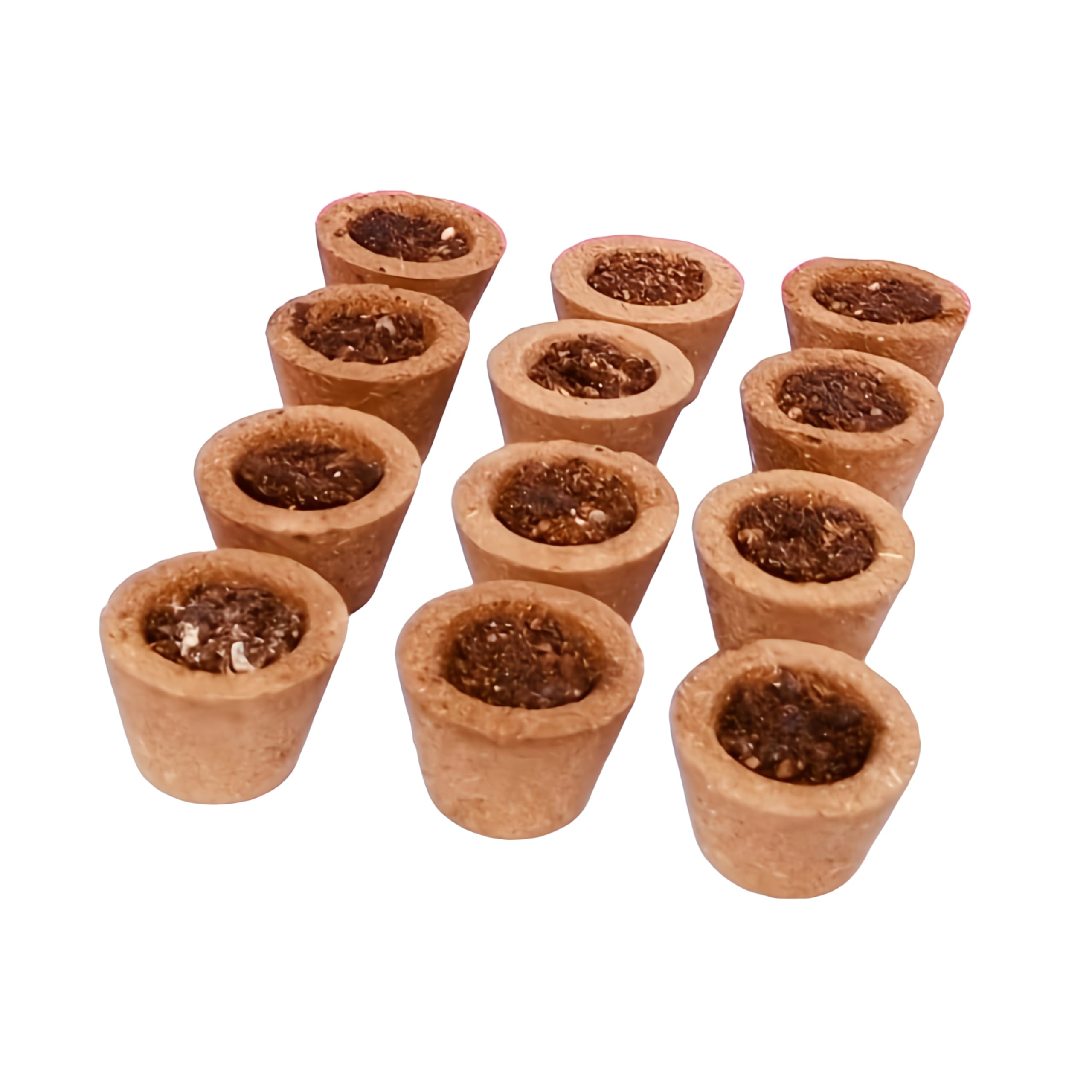 Arya First Fragrance Natural Sambrani Cups -12 Pcs Pack (Organic Cow Dung Dhoop Cups) Guggul-image-43