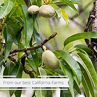 Vista 3 de Almendras enteras Gourmet, de Its Delish