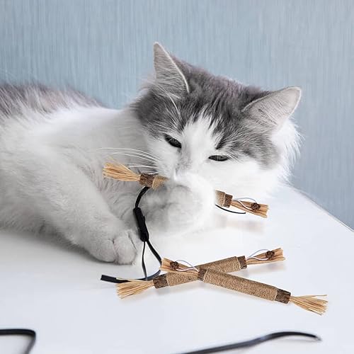 Miniatura 7 de Zxglxinyao 8 palitos de hierba gatera, palitos para masticar Matatabi, palitos de masticar para gatos, juguete de aseo dental para gatos, palitos de
