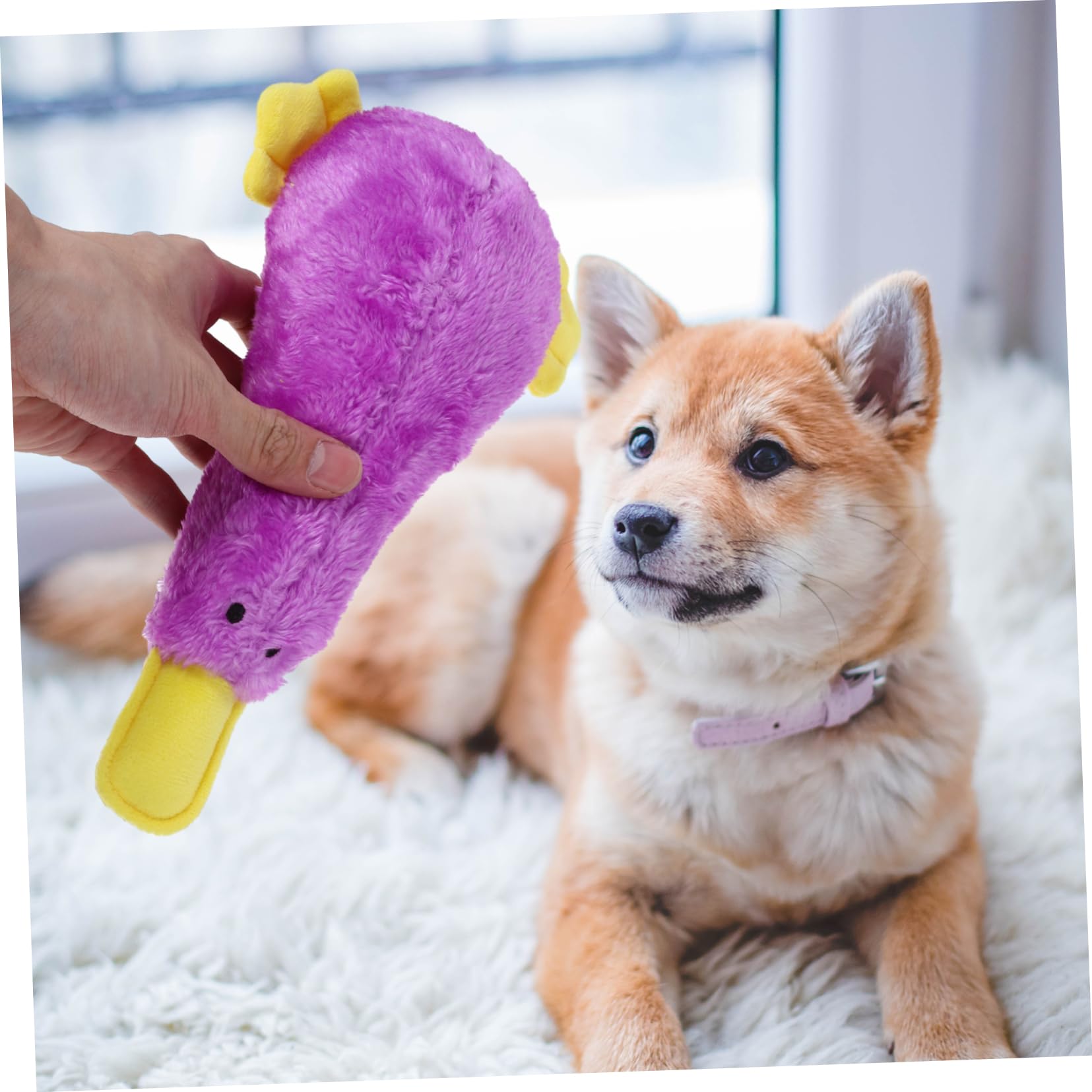 TOYANDONA Jouet Peluche Chien Couine pour Chiot Jouet à Mâcher Oiseau pour Animal de Compagnie Motif Dessin Animé