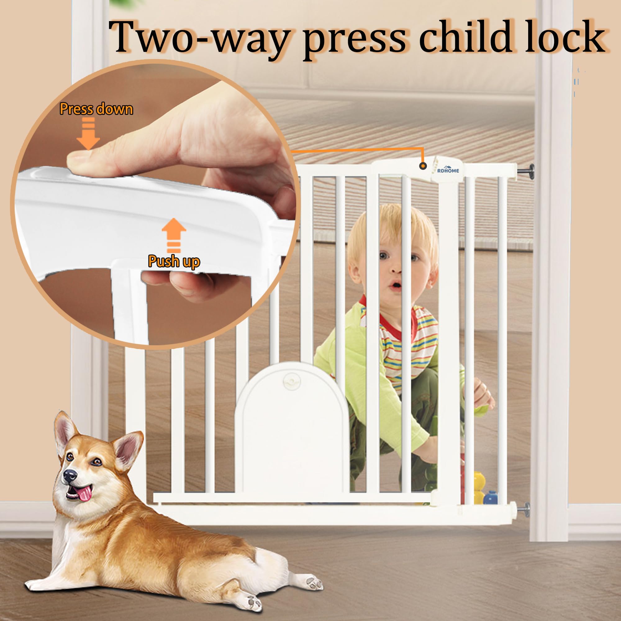 https://m.media-amazon.com/images/I/71ivxkkEpGL.jpg