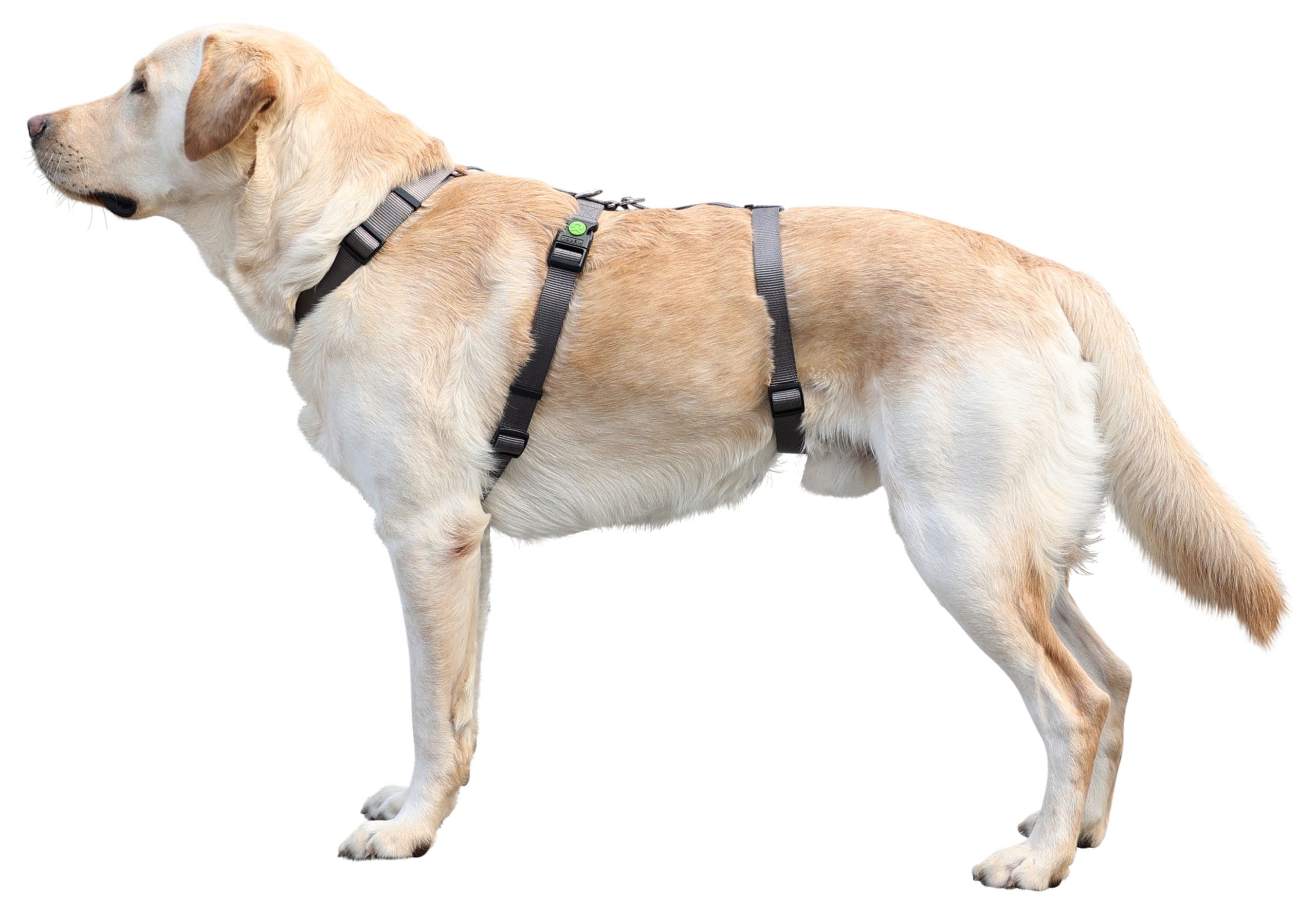 Kerbl Miami 80040 Uprząż Panic Escape Proof 38-52 cm, szara