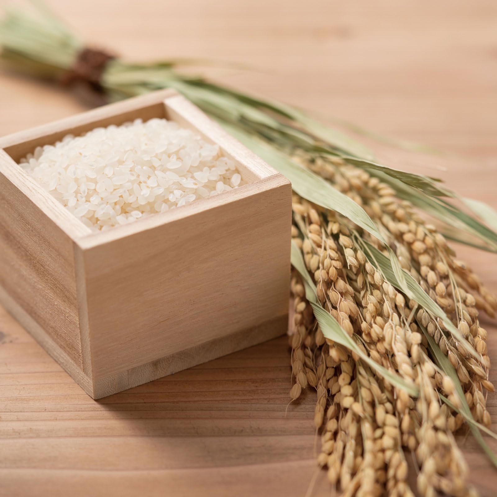 どんまい 米 山形県産 雪若丸 特産品 産直 こめ