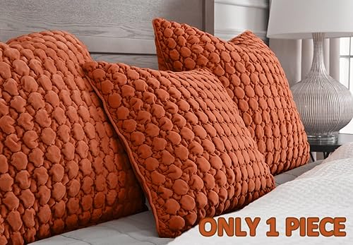 Vista 45 de Juego de 2 fundas de almohada bohemias de 18 x 18 pulgadas, fundas de almohada decorativas de estilo rural de terciopelo, fundas de cojín cuadradas