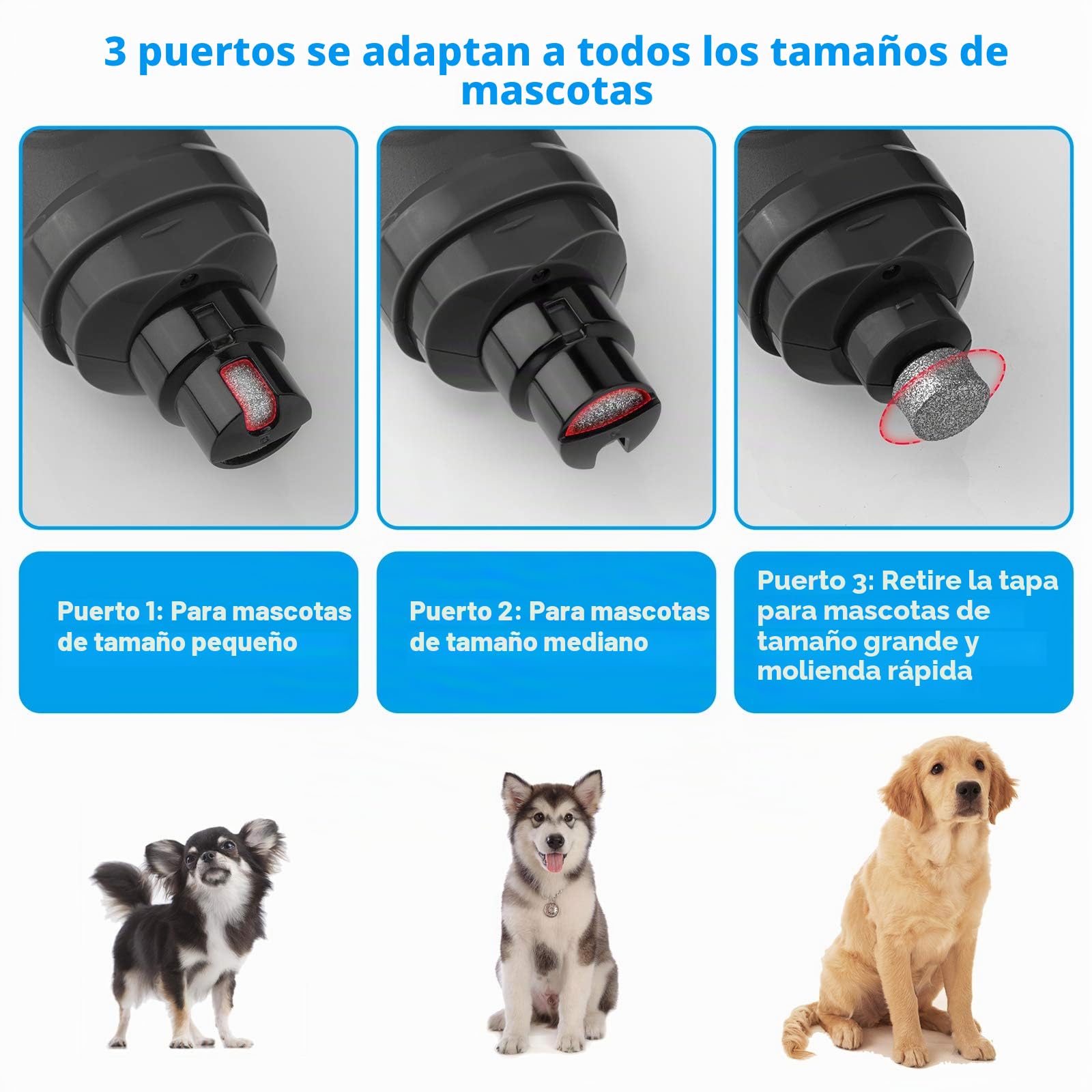 Casfuy Lima de Uñas Eléctrica para Perros con 2 Luces LED - Potente Cortador de uñas eléctrico para Mascotas de 2 velocidades Cuidado y alisado de Patas para Perros y Gatos de Todos los tamaños