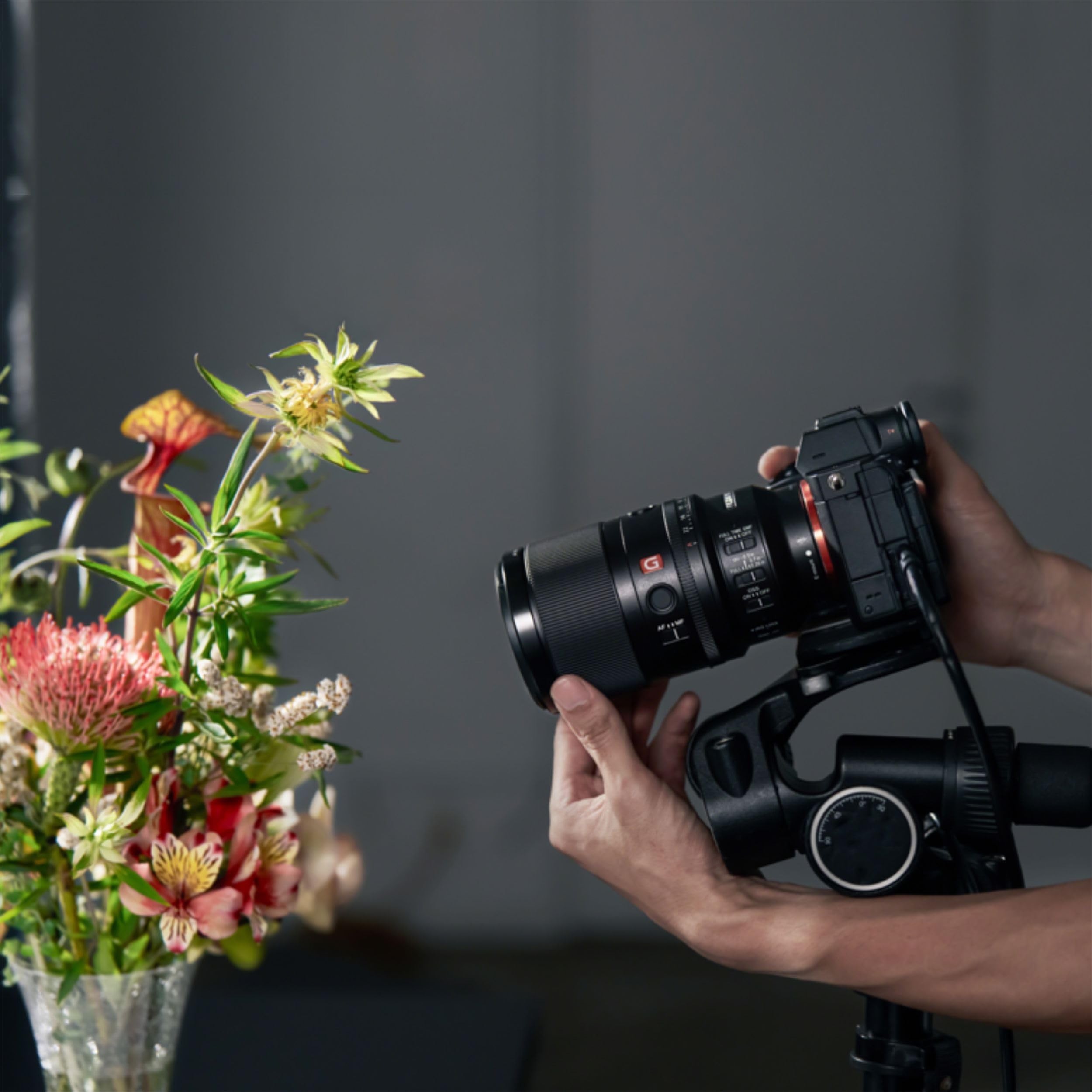 Sony E-Mount FE 100 MM F2.8 Objectif Plein Format Macro GM OSS (SEL100M28GM) I Grossissement 1,4X I Objectif Macro Exceptionnel - Noir